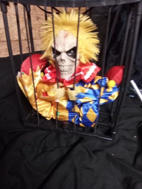 Clown In Cage