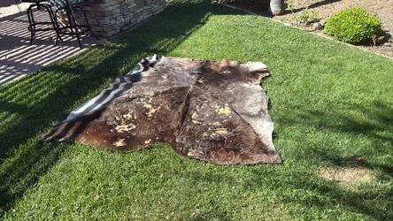 real cow Hide