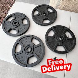 FREE DELIVERY — 10 Pound Weider Weight Plates