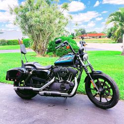 2019 Harley Davidson Sportster