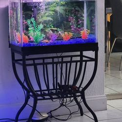 Fish Tank With Decorand Stand 