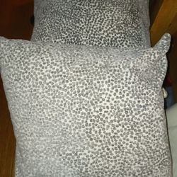 Pair Of 2 Beautiful Throw Pillows 