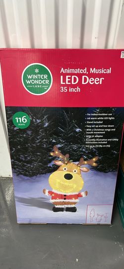 Christmas lawn decorations