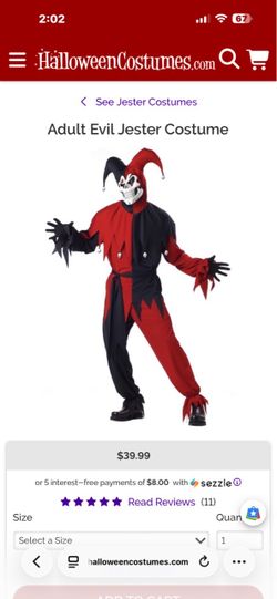 Evil jester costume