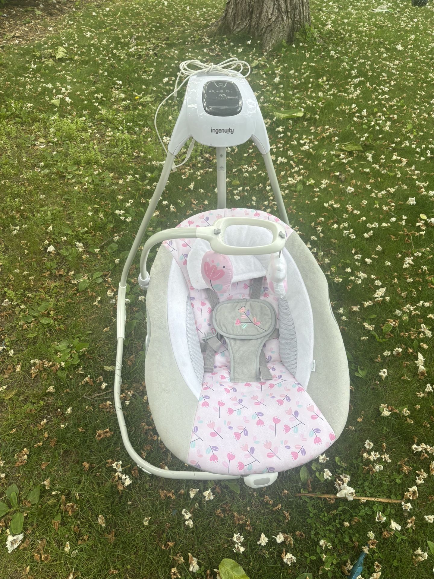 Baby Swing