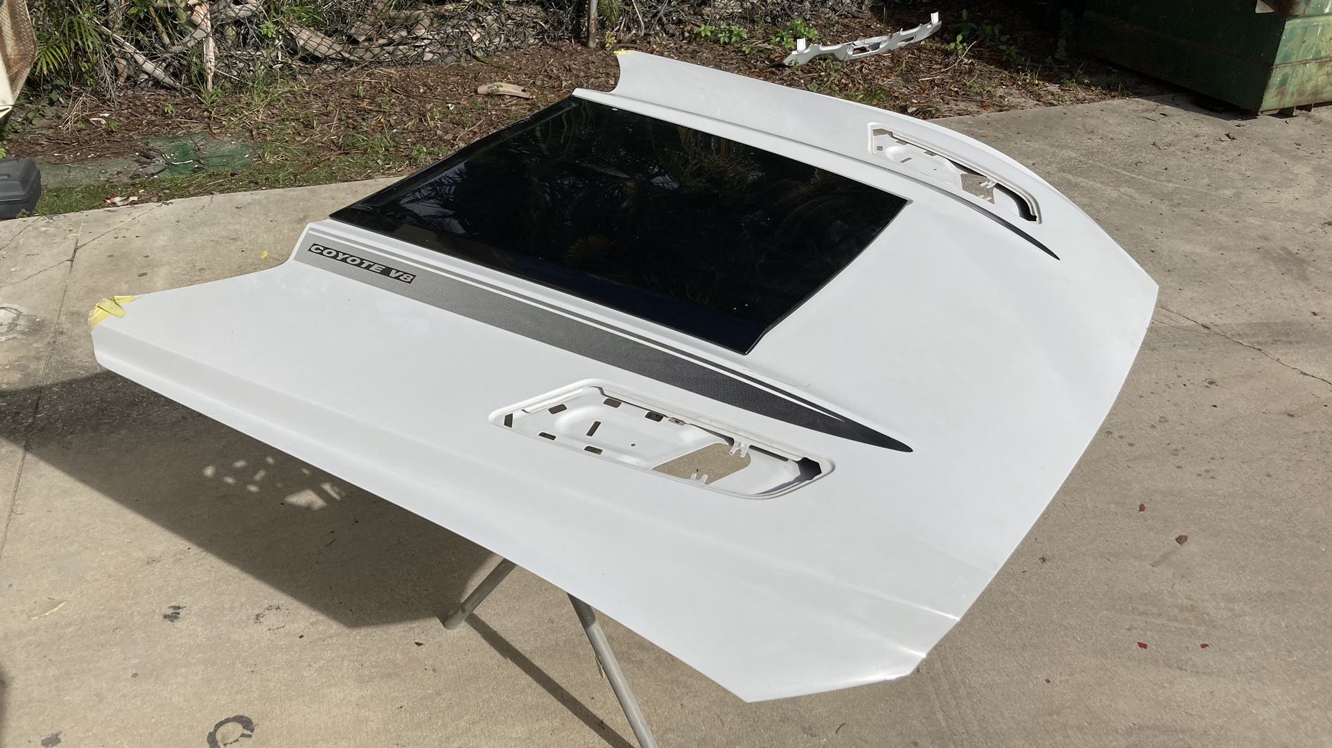 Mustang Hood