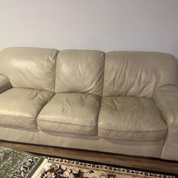 Free, Free, Free Couch No Animals, Pet Free 