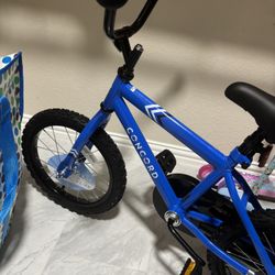 Blue Toddler Bike