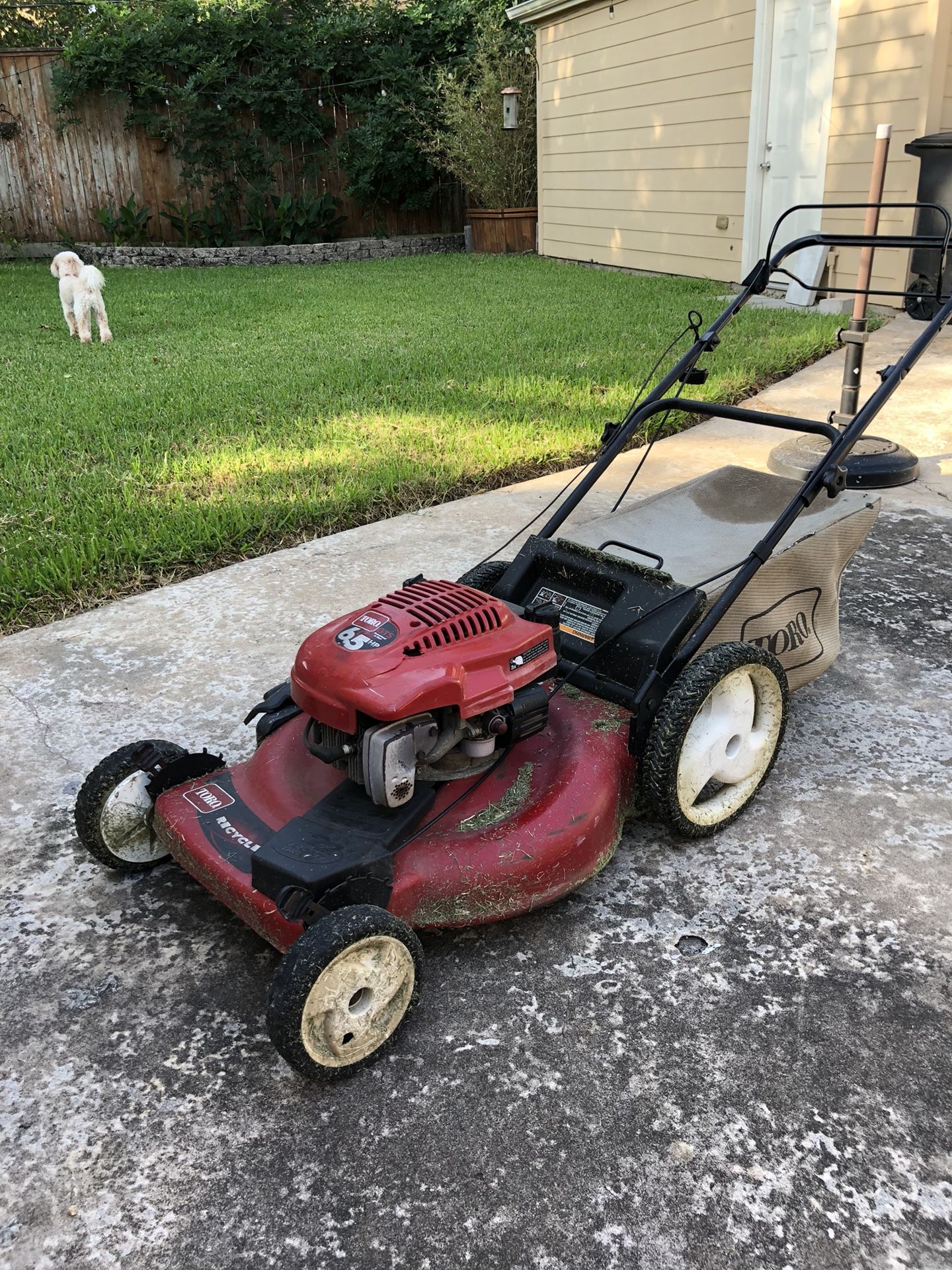 Toro 20016 6.5hp