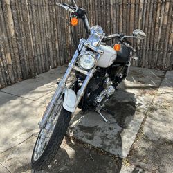 2008 Harley Davidson Sportster Custom