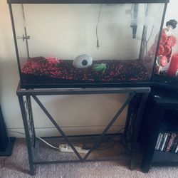 29 Gallon Fish Tank With Stand Included