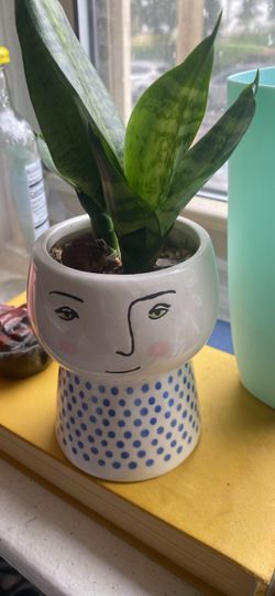 Ceramic Face Planter with Blue Polka Dots