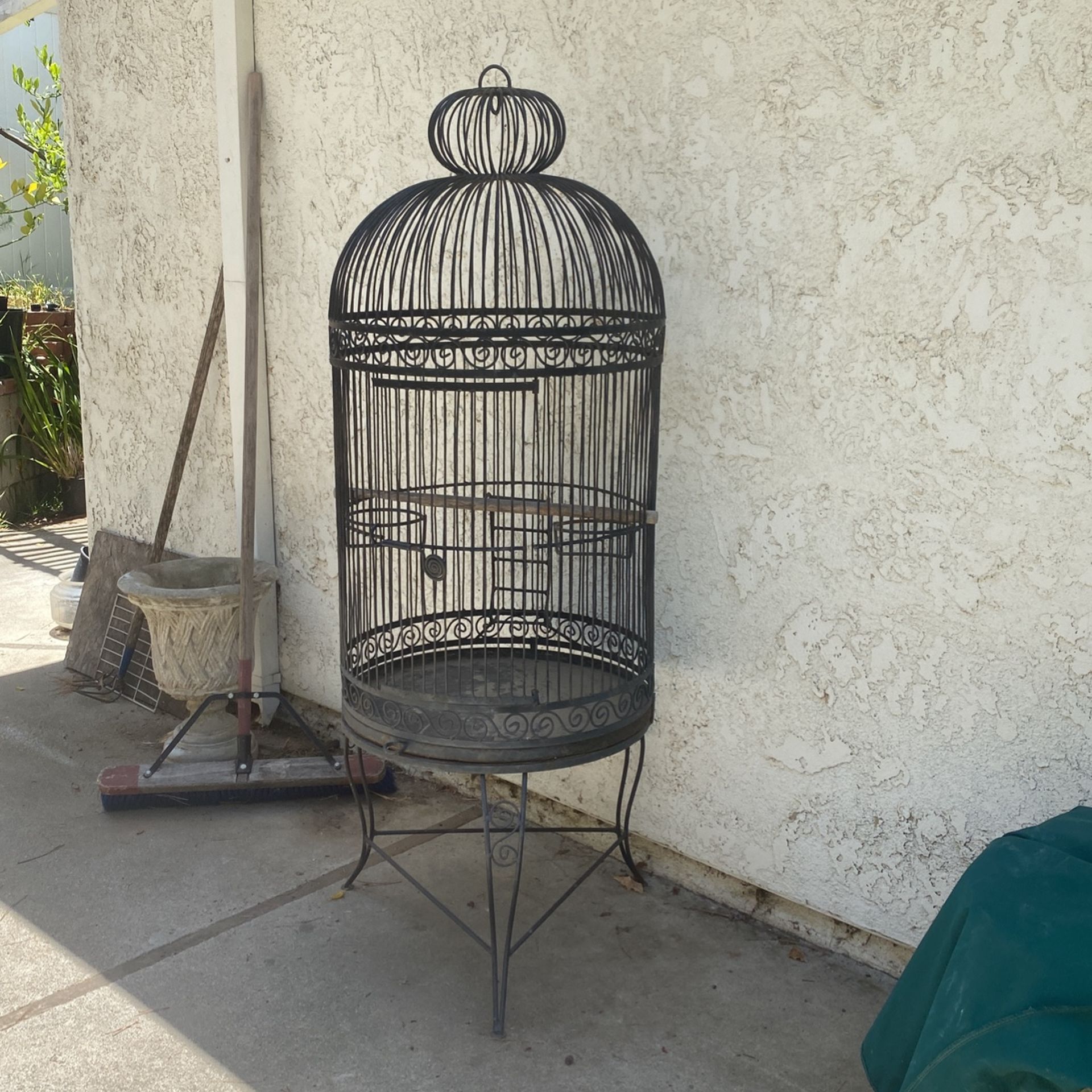Parrot Cage