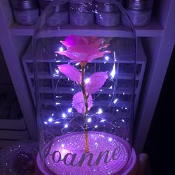 New Pink Rose in Glass Dome