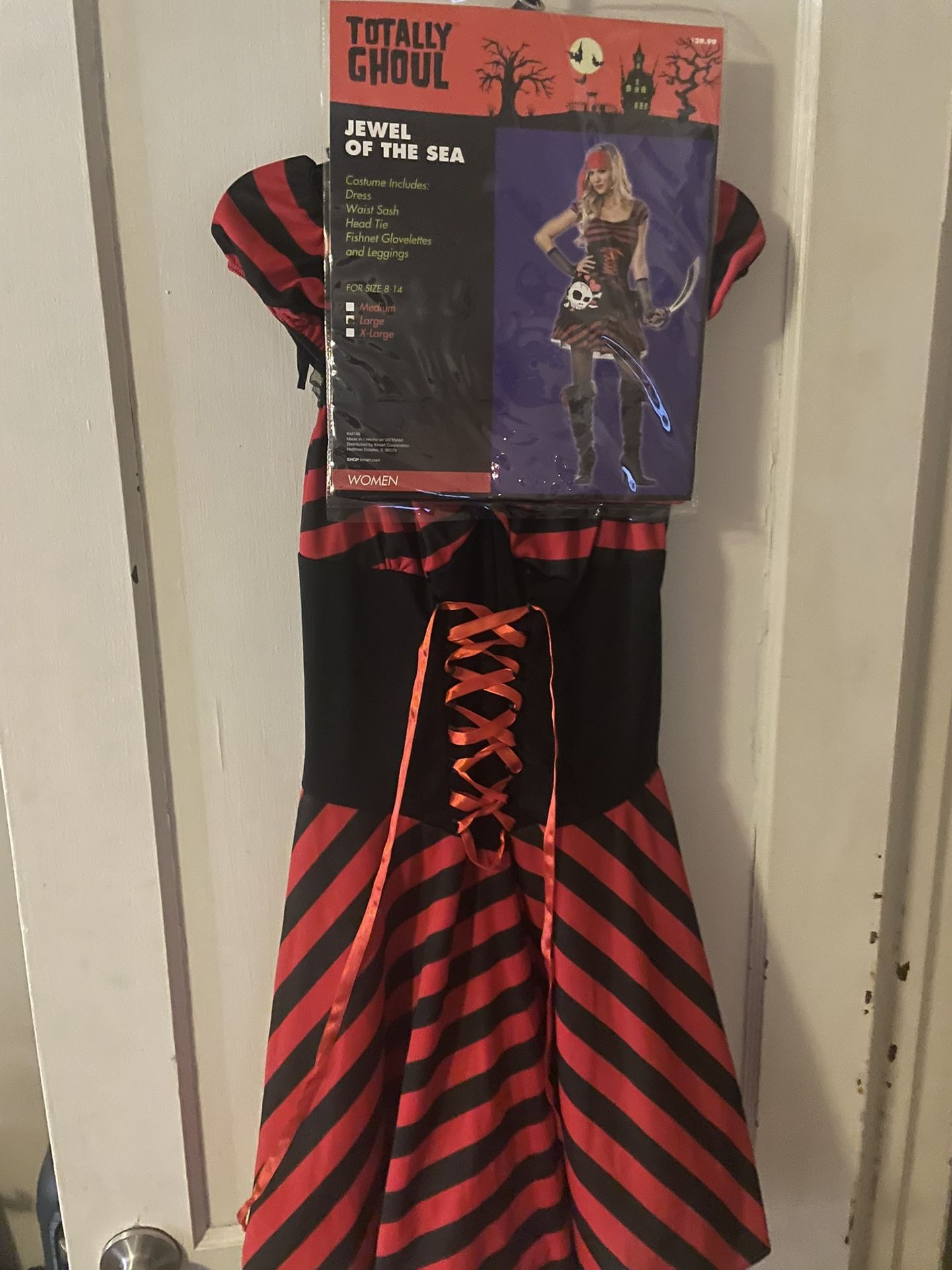 Pirate Costume