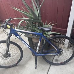 Nishiki 29 Inch Large Frame Bike