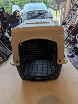 Kennel