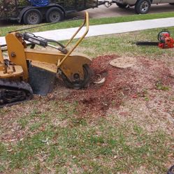 Stump Grinding 