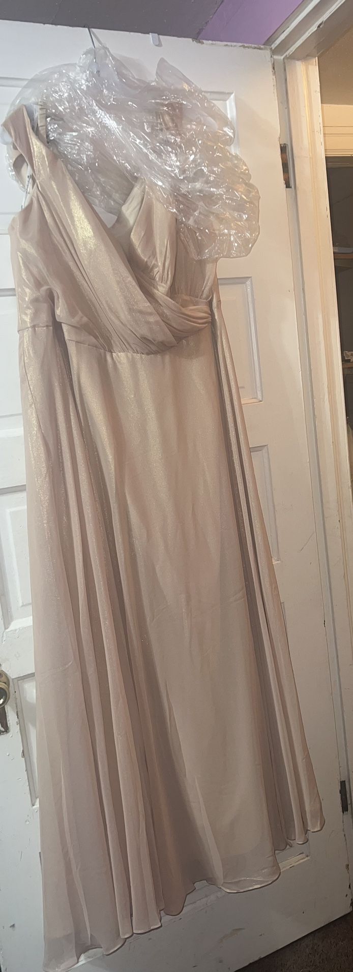 David’s Bridal Champagne/Gold Dress