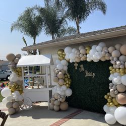 Balloon Garland