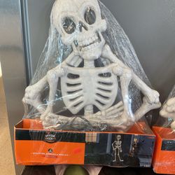 Halloween Skeleton, Spiders & Web Kit