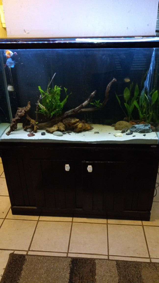 110 Gallon Oceanic Fish Tank Aquarium PENDING SELL