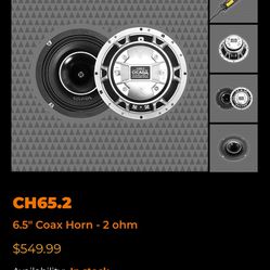 Cicada Audio CH65.2 Horn Speakers 