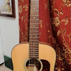 Walden 12-string Acoustic Guitar