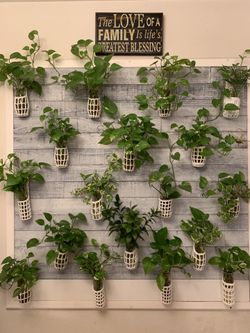 Crochet hanger with plant