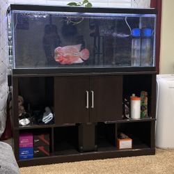 75gal fish tank and stand