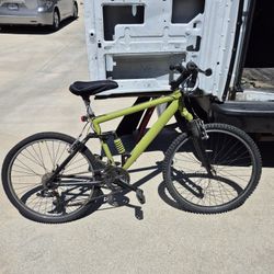 Bike (Adult Size)