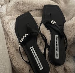 Alexander Wang Sandals Black Sandals 