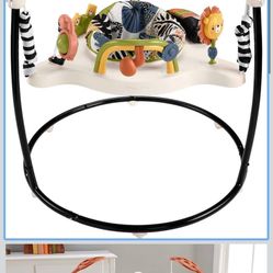 Fisher Price Baby Bouncer 