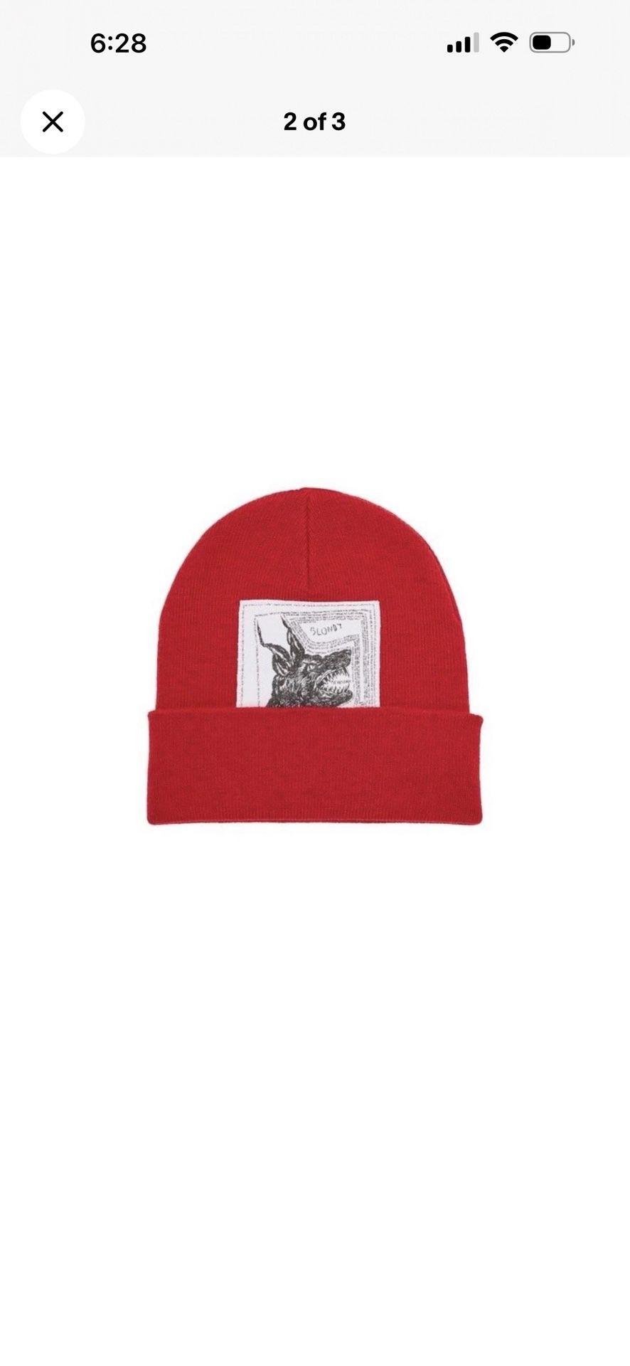 Supreme x The North Face Beanie 