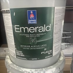 Paint 5 Gallon