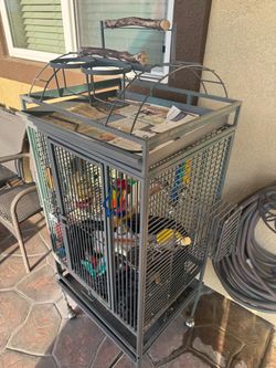 Bird cage