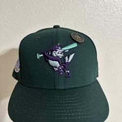 Fitted Hat Size 7 1/2