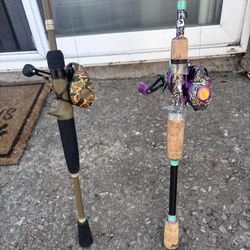 ProFISHiency fishing poles