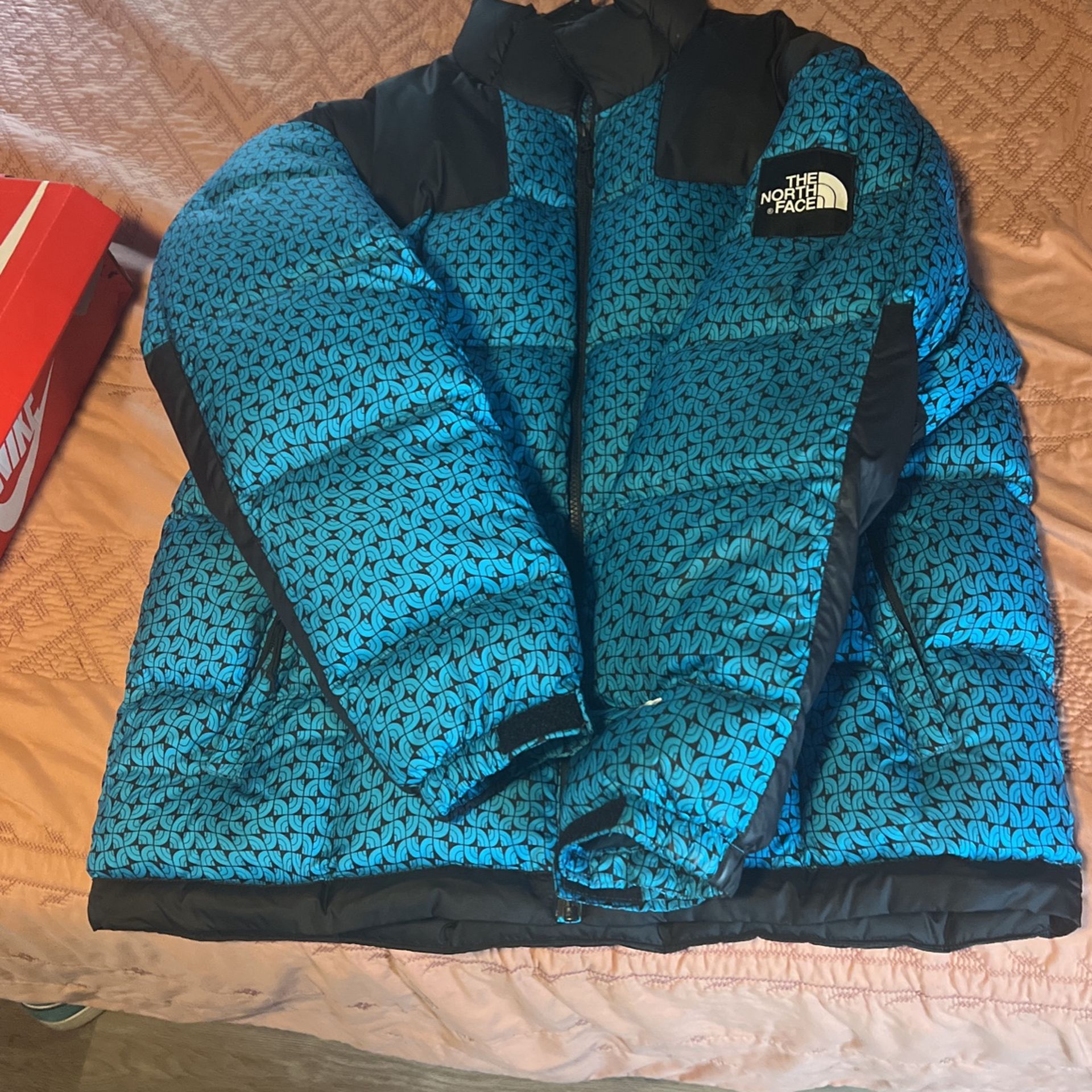 North face Snow Jacket 