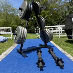 Full Set Of Weights With Rack And Dumbbell Handles 