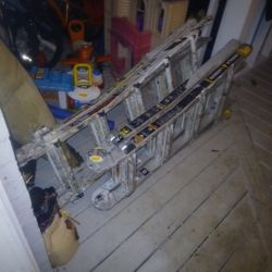 Ladder (Little Giant)