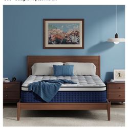 Queen Firm Mattress And Metal Bedframe No Boxspring Needed