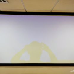 Projector Screen