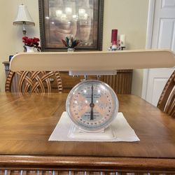 Vintage American Family Nursery Scale