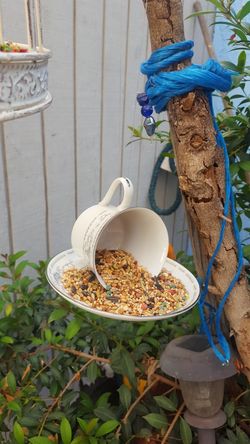 Bird feeder