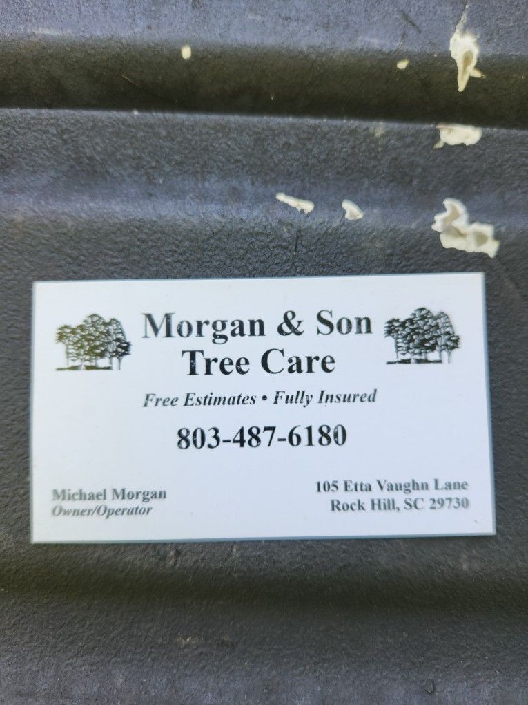 Affordable Tree Work and Stump Removal