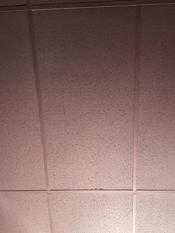 White ceiling