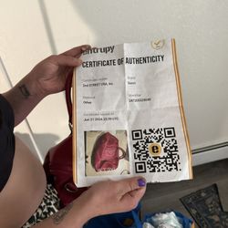 Authentic Gucci, Purse certificate of authenticity asking 1200 or best offer