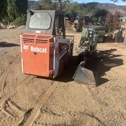 Bobcat