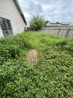 Grass Cutting